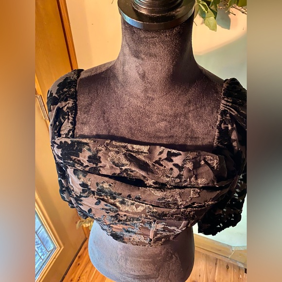 🔥SHOWPO ARISA TOP - VELVET BURNOUT LONG SLEEVE TOP🔥 NWOT - Picture 4 of 16